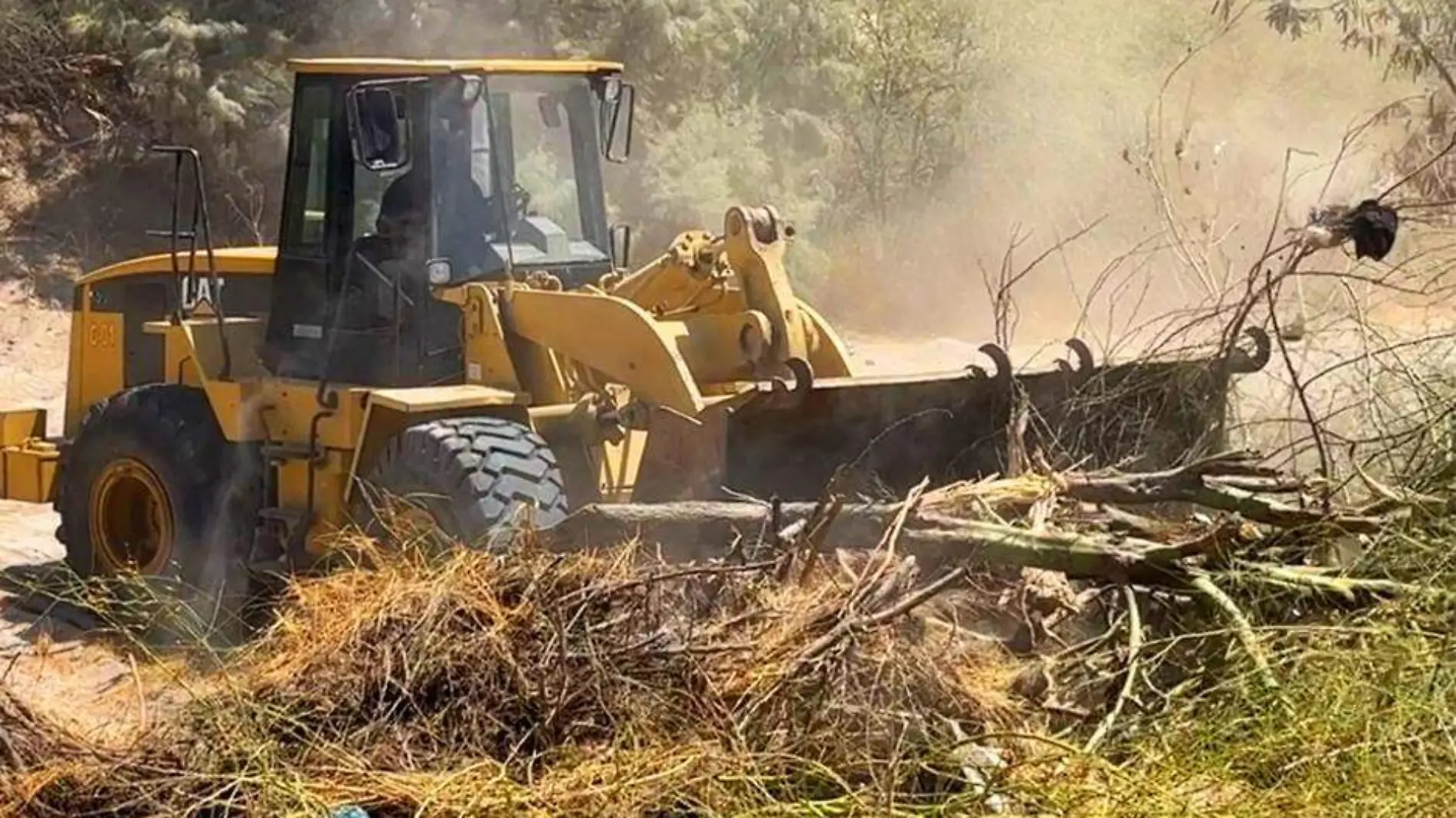 Limpieza cauce arroyos La Paz